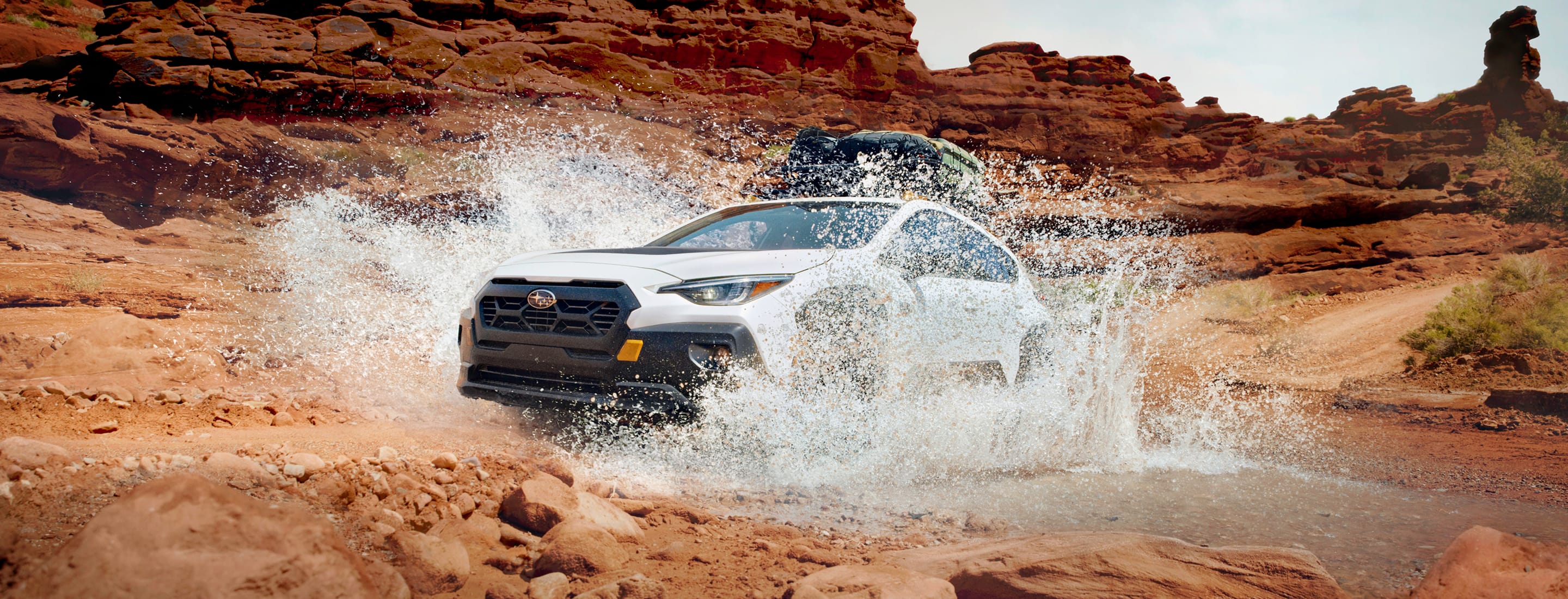 2025 Subaru Wilderness Models & Info | Harvey Subaru